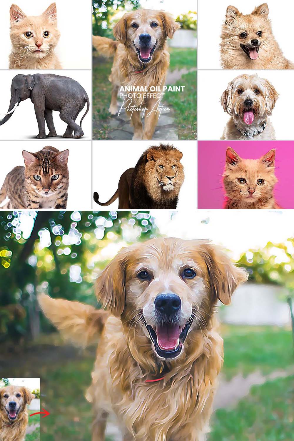 Animal Oil Paint Photoshop Actions pinterest preview image.