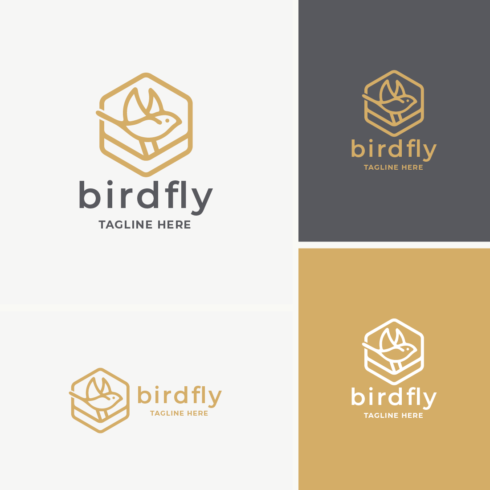 Bird Fly Logo cover image.