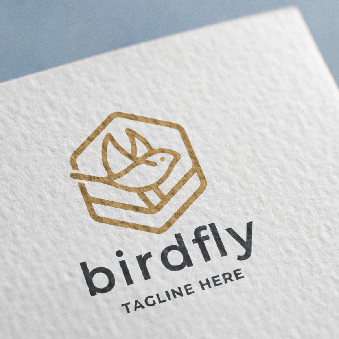 Bird Fly Logo preview image.