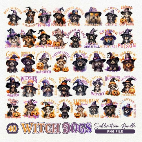 Halloween Witch Dogs Quotes Sublimation Designs Bundle cover image.
