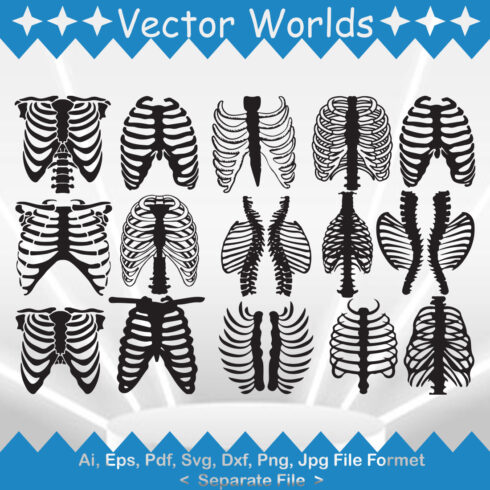 Skeleton Rib Cage SVG Vector Design cover image.