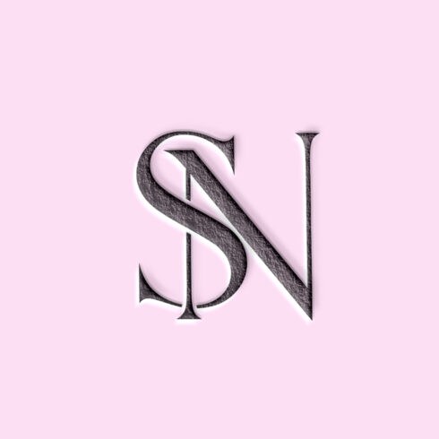 SN logo design cover image.