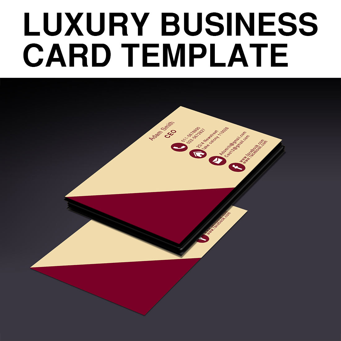 luxury business card template only for $6 preview image.