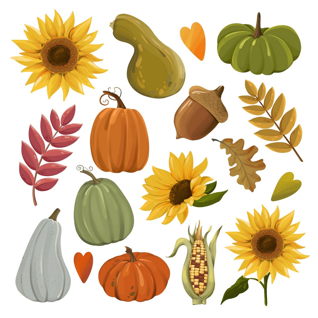 Autumn Pumpkin, Thanksging Clipart preview image.