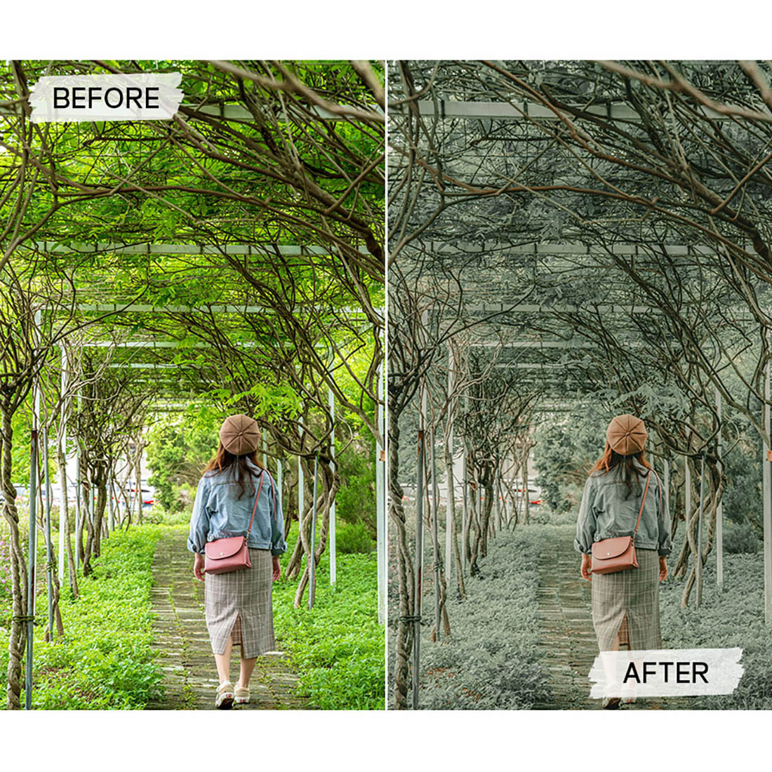 apricot lightroom presets 10 28