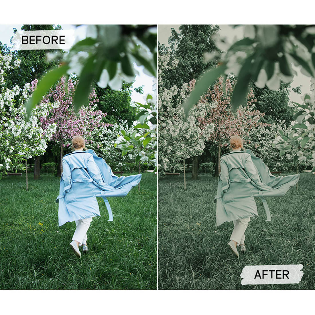 apricot lightroom presets 2 333