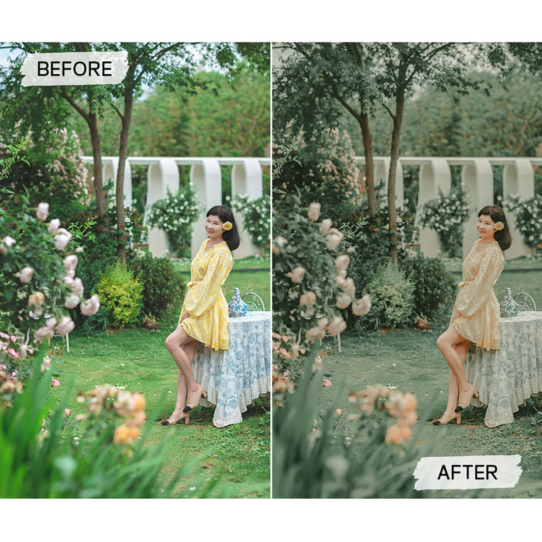 apricot lightroom presets 5 530