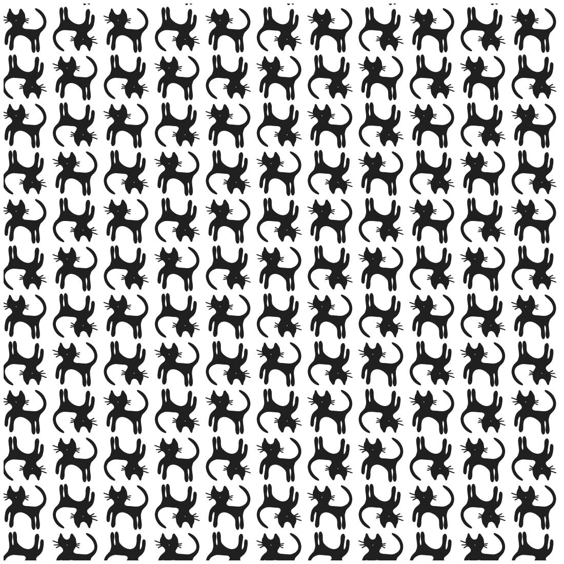 cat pattern 5 178