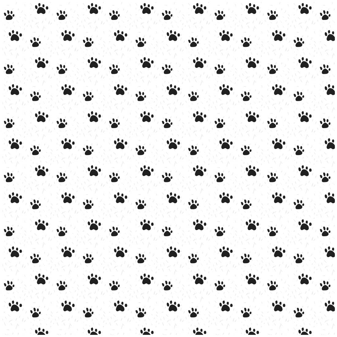 cat pattern 9 211