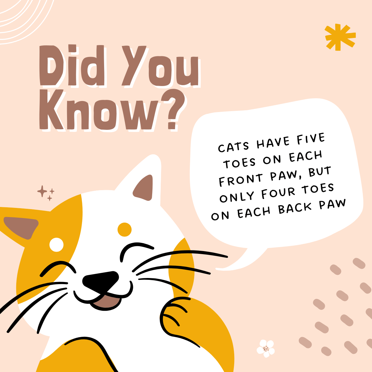 Cats Fun Fact pinterest preview image.