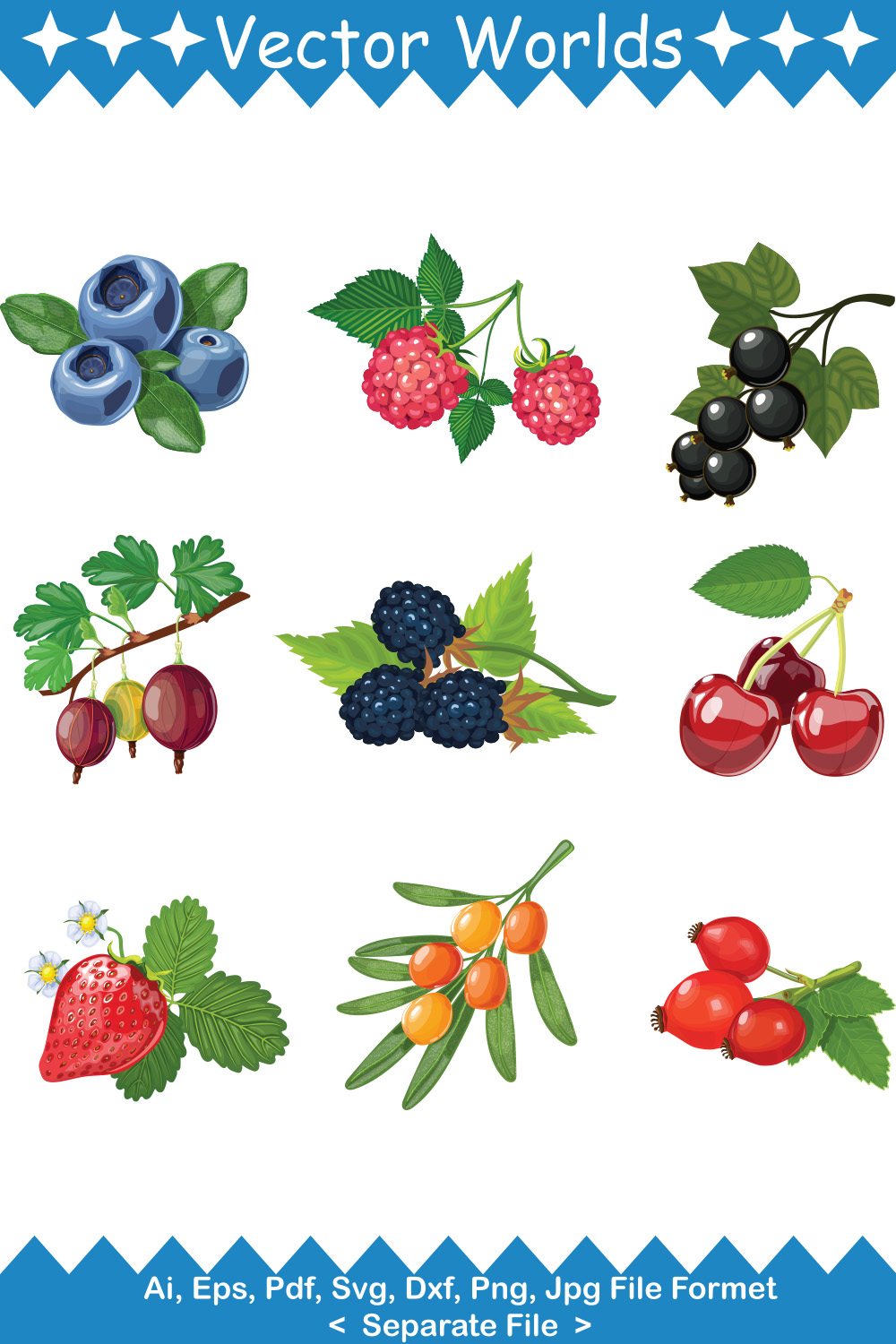 Berries SVG Vector Design pinterest preview image.