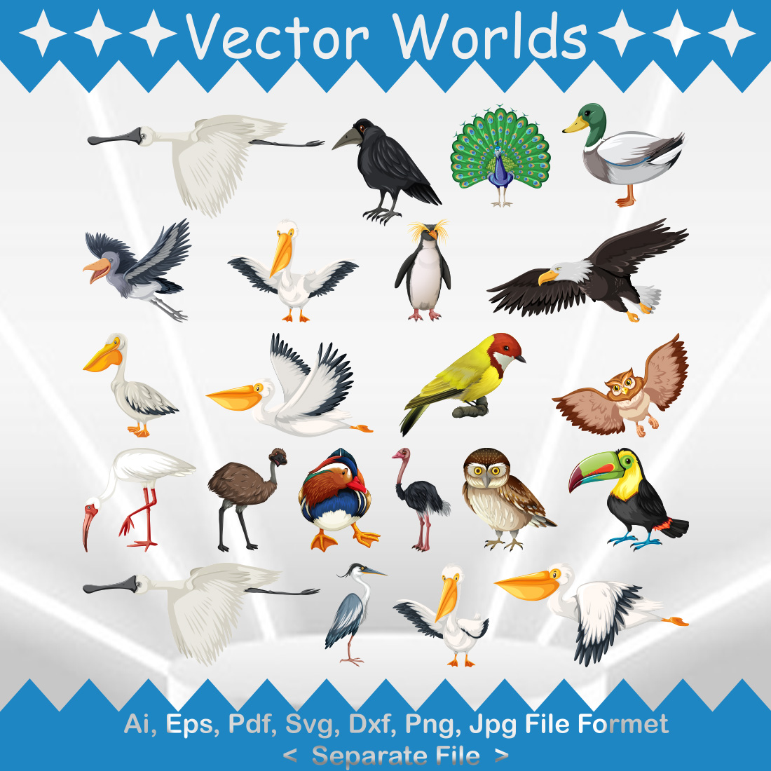 Kinds Birds SVG Vector Design preview image.