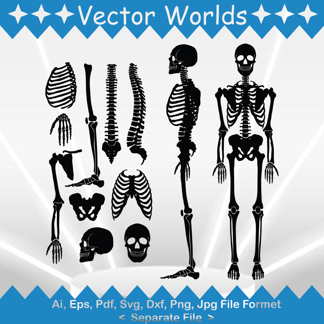 Human Bone SVG Vector Design preview image.