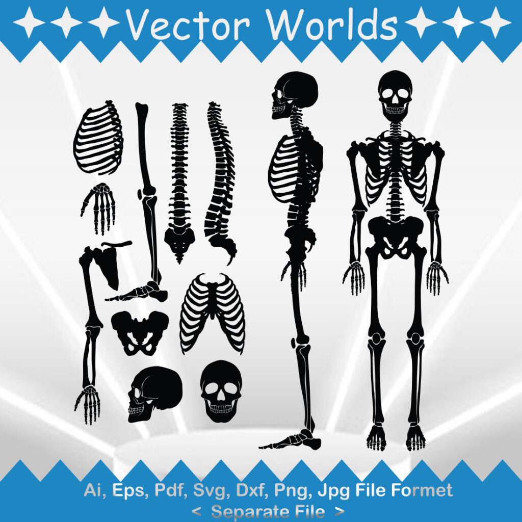Human Bone SVG Vector Design - MasterBundles