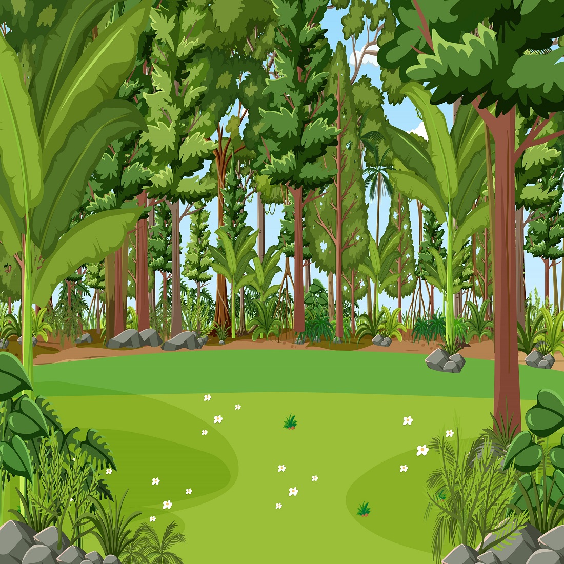 Forest scene with various forest trees preview image.