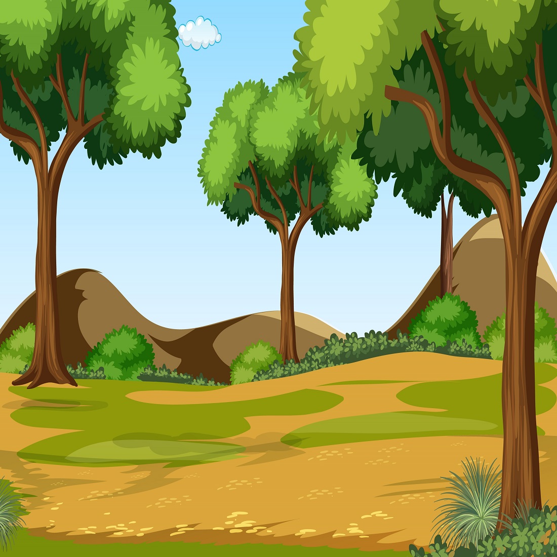 Forest scene with various forest trees preview image.