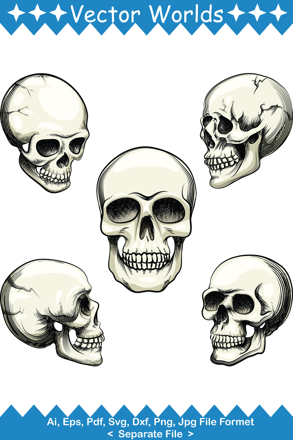 Human Skull SVG Vector Design pinterest preview image.