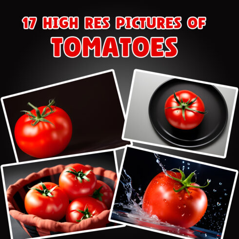 17 High-Res Pictures of Tomatoes cover image.