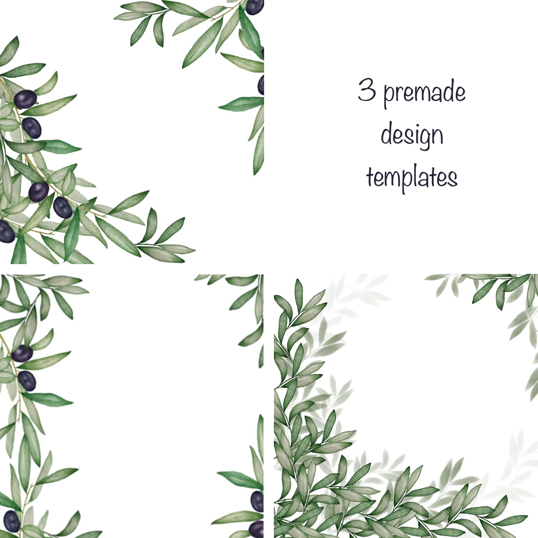 Hand painted watercolor collection of olive branches preview image.