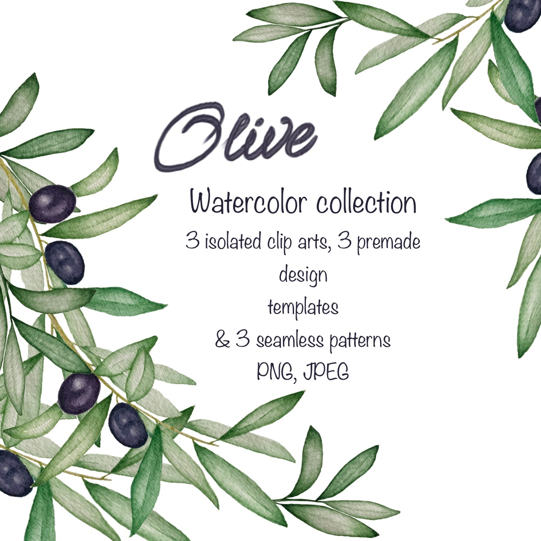 Hand painted watercolor collection of olive branches cover image.