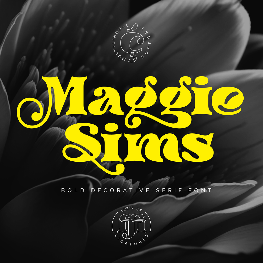 Maggie Sims - Bold Decorative Serif Font cover image.