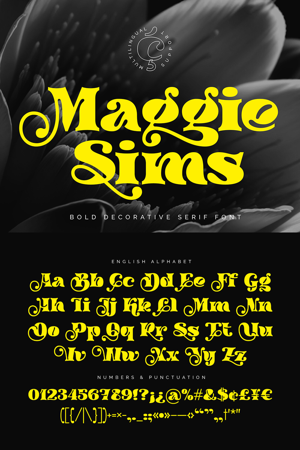 Maggie Sims - Bold Decorative Serif Font pinterest preview image.