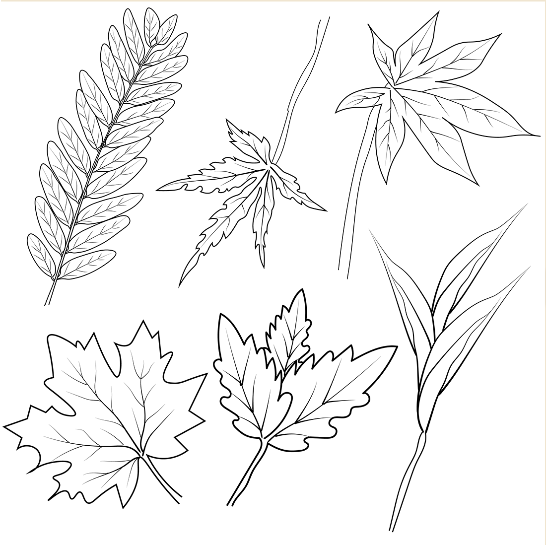 Set of hand-drawn black and white autumn falling leaves - rowan, oak, chestnut, maple, ginkgo, aspen, sketch art style vector preview image.