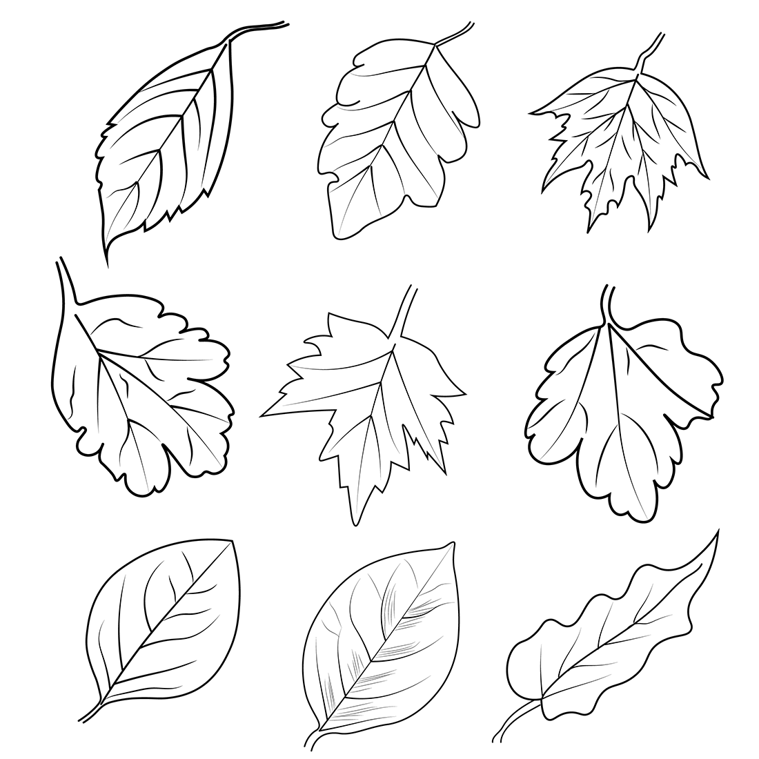 set of Autumn coloring pages, cute fall coloring pages, Autumn coloring pages for adults preview image.