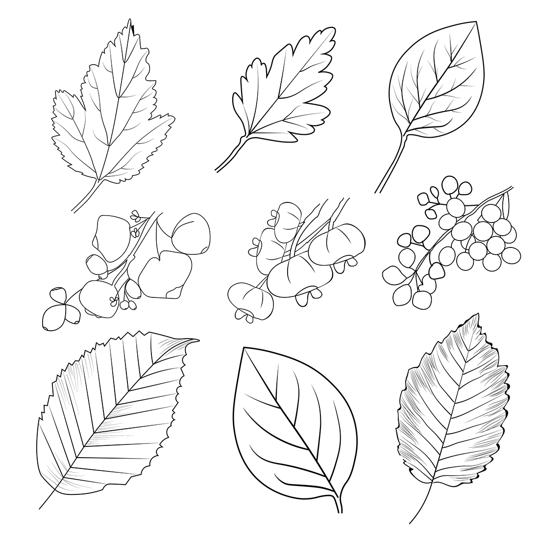 Set of Autumn falling leaves, Vegetables, Pumpkin, Wheat, Grains, leaf, Bell paper, Food Nature Thanksgiving coloring sheet, free printable coloring pages cover image.