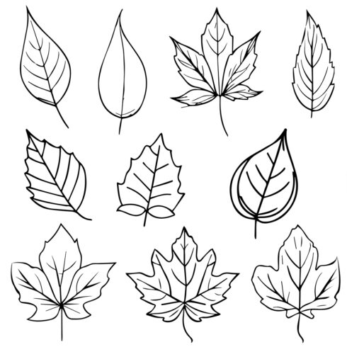 Set of autumn leaf coloring sheets, autumn falling leaf line drawings, hand drawing leaves line art, cover image.
