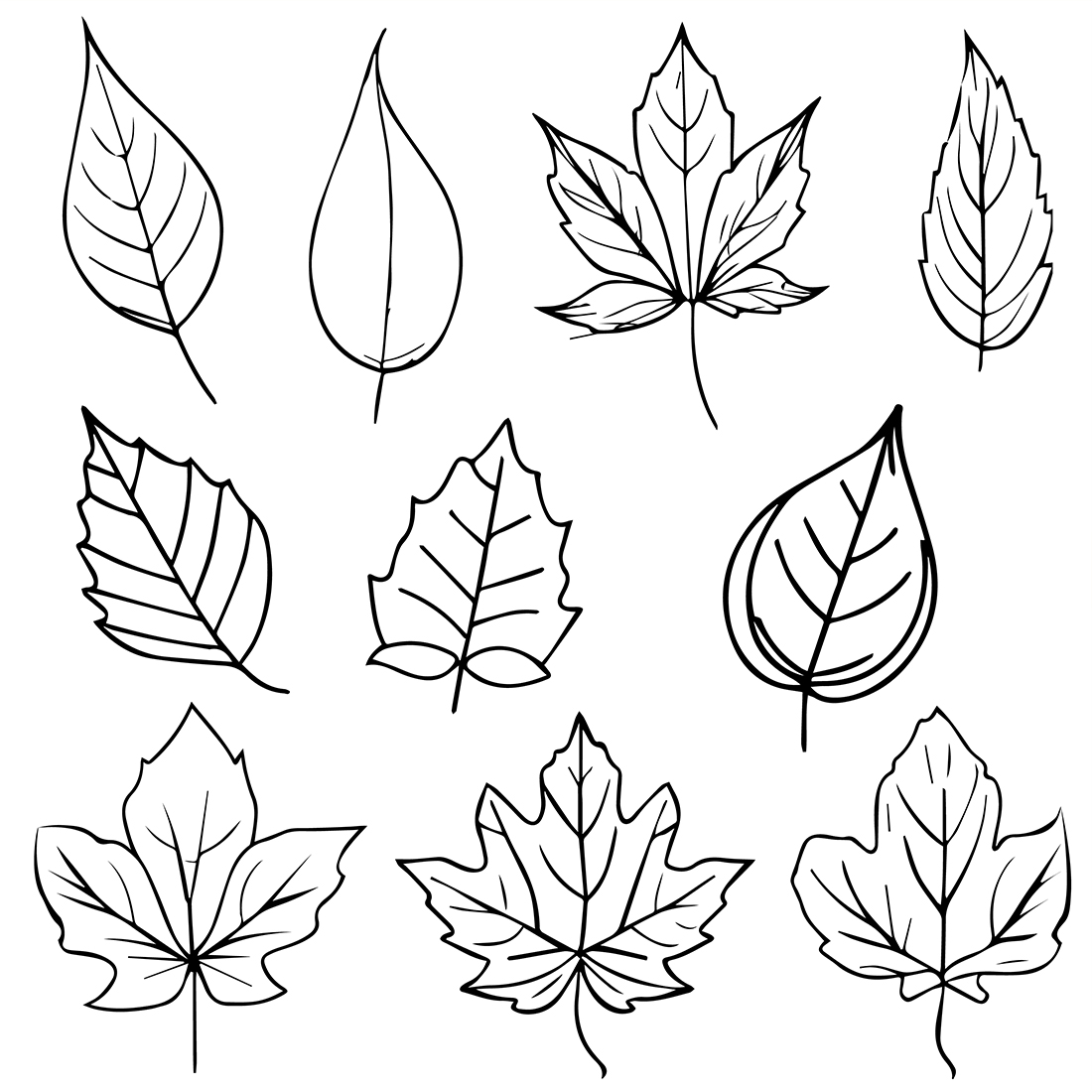Set of autumn leaf coloring sheets, autumn falling leaf line drawings, hand drawing leaves line art, preview image.