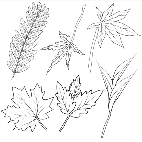 Set of hand-drawn black and white autumn falling leaves - rowan, oak, chestnut, maple, ginkgo, aspen, sketch art style vector cover image.