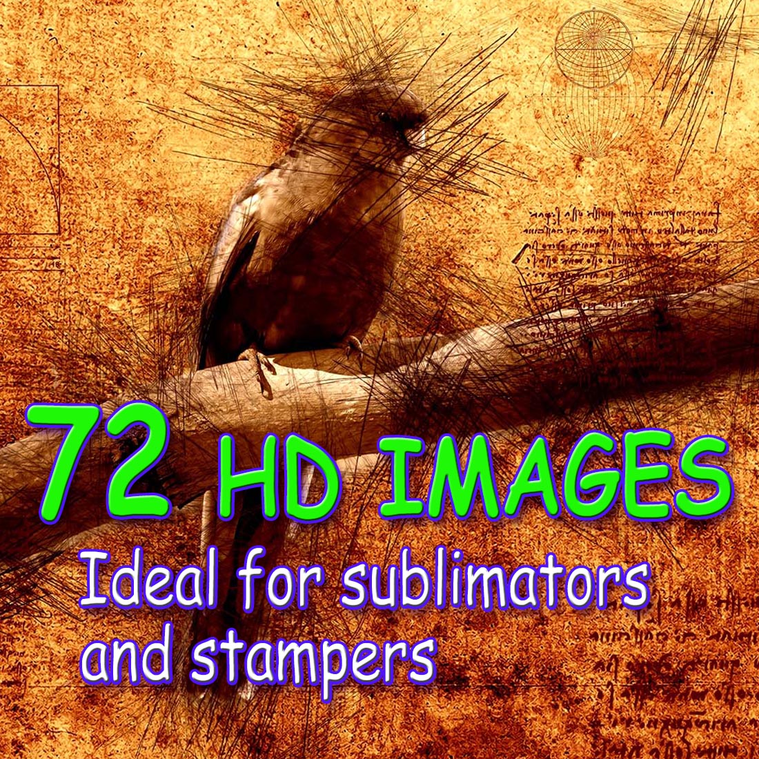 BEAUTIFUL BIRDS - Bundle Of 72 HQ 300 dpi Graphics Ready To Print cover image.