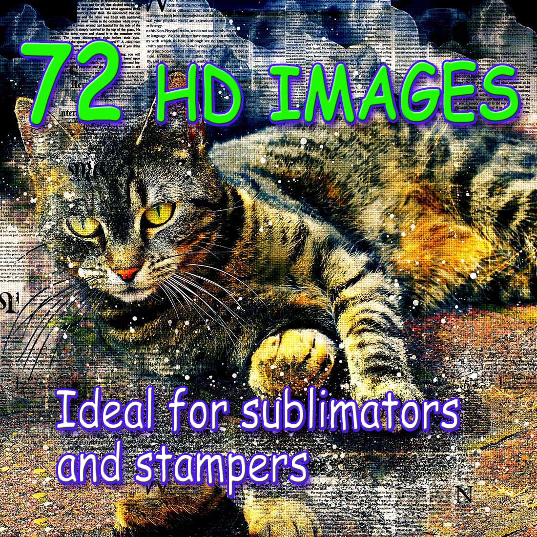 Bundle of 72 CAT AND DOGS HQ Graphics Ready to Print cover image.