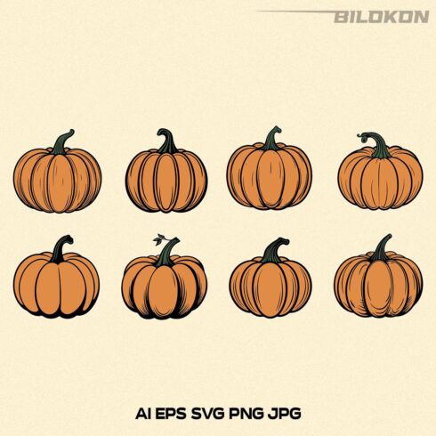 Autumn pumpkin set, Fall pumpkin, Vector, SVG cover image.