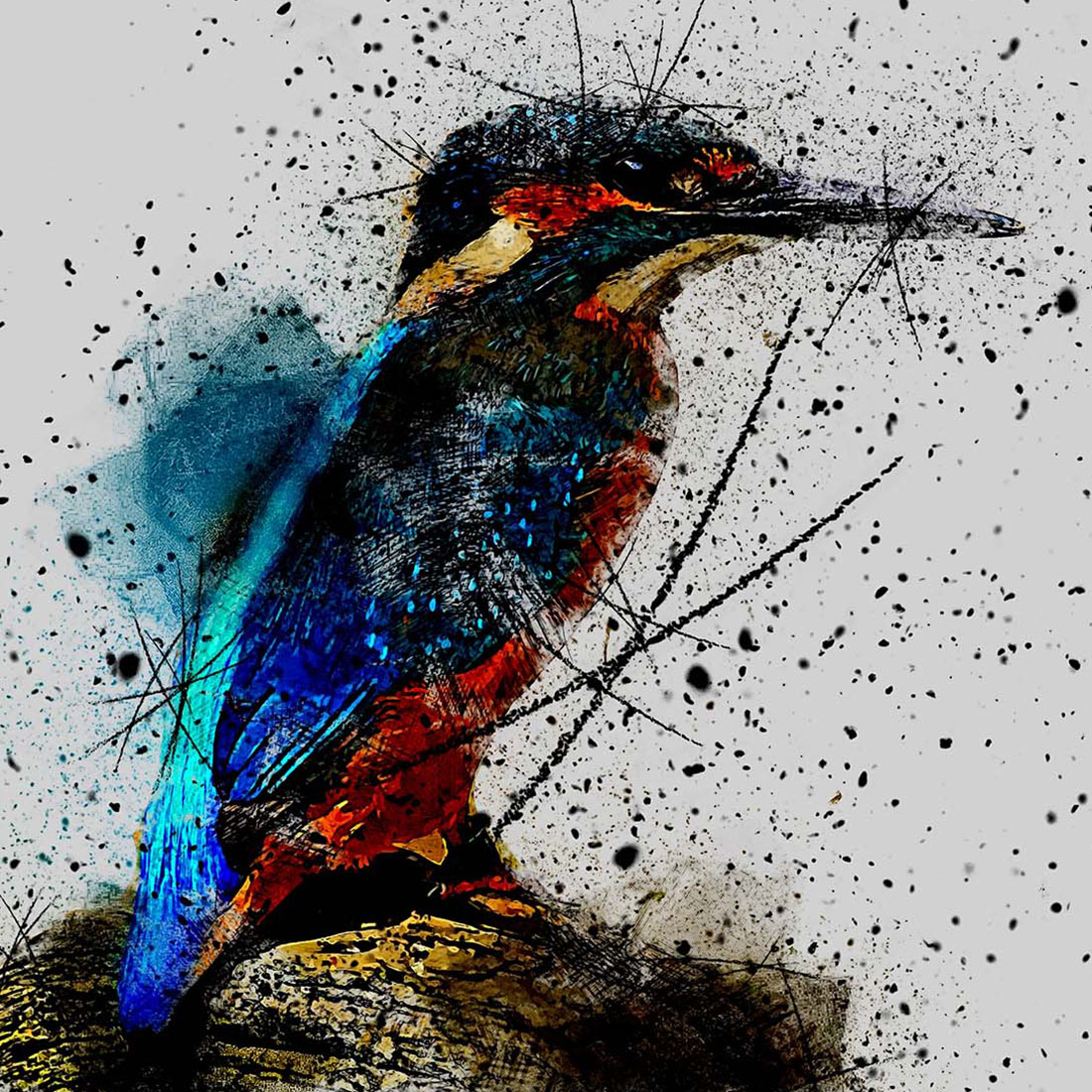 BEAUTIFUL BIRDS - Bundle Of 72 HQ 300 dpi Graphics Ready To Print preview image.