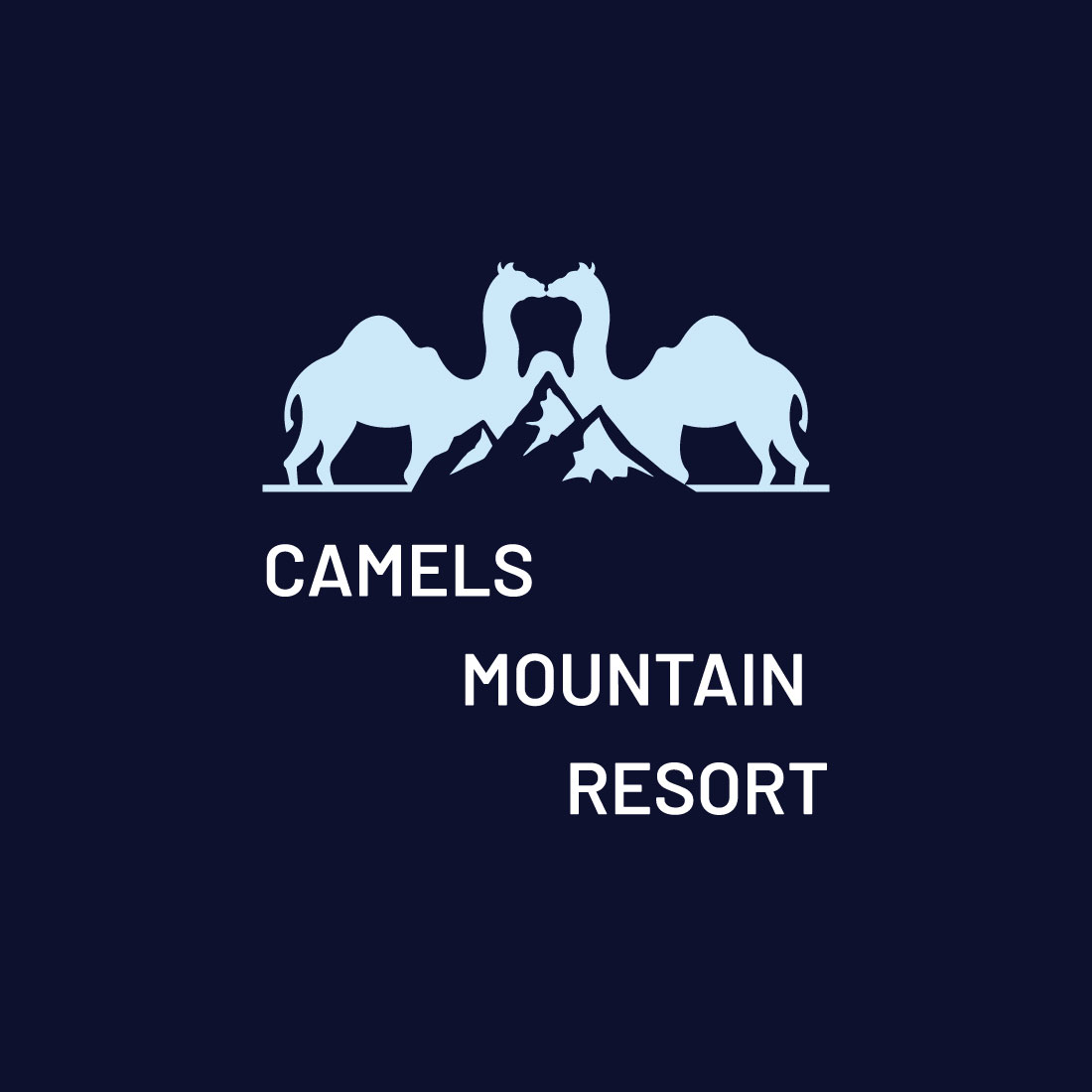 Camel Mountain Logo cover image.