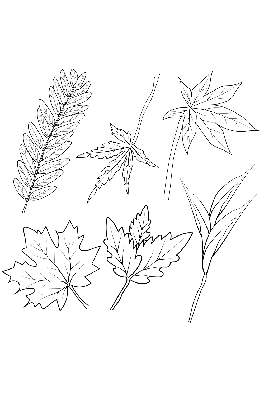 Set of hand-drawn black and white autumn falling leaves - rowan, oak, chestnut, maple, ginkgo, aspen, sketch art style vector pinterest preview image.