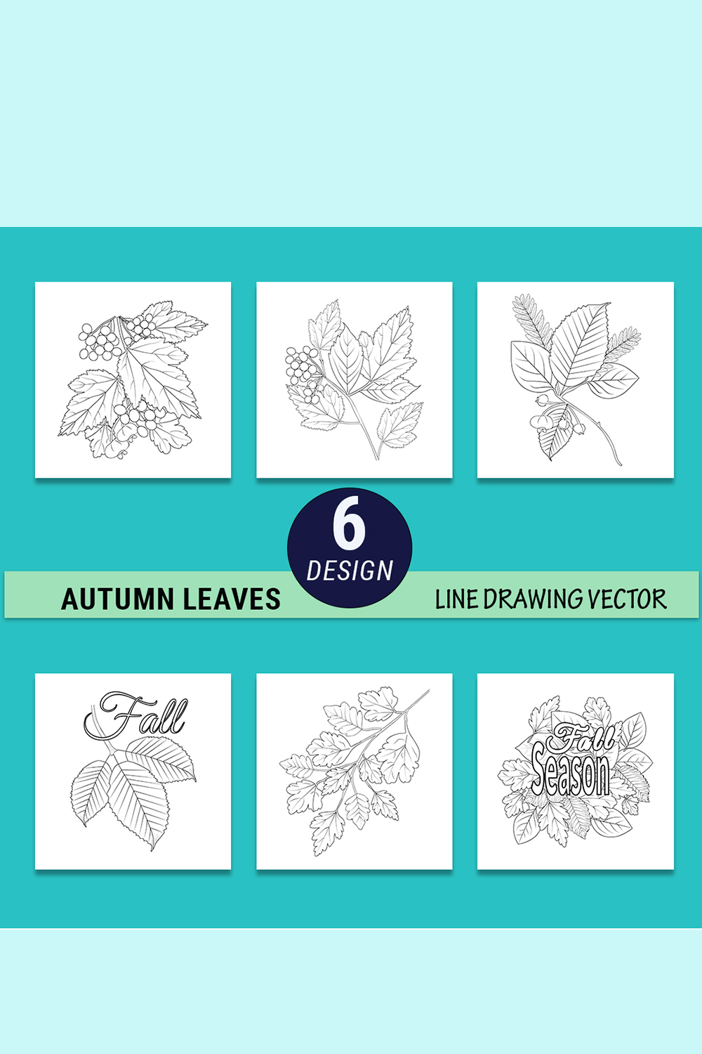 Set of autumn leaves set for coloring page vector, a branch of ripe rowan vector illustration, harvest leaf coloring pages pinterest preview image.