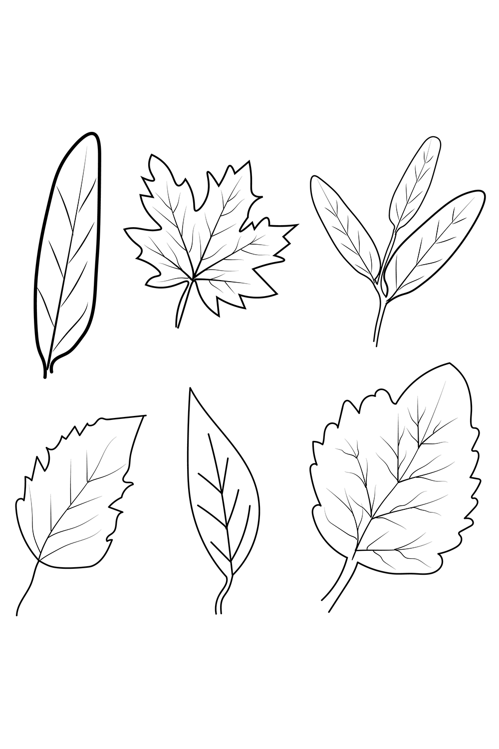 Set of hand-drawn black and white autumn falling leaves - rowan, oak, chestnut, maple, ginkgo, aspen, sketch art style vector pinterest preview image.