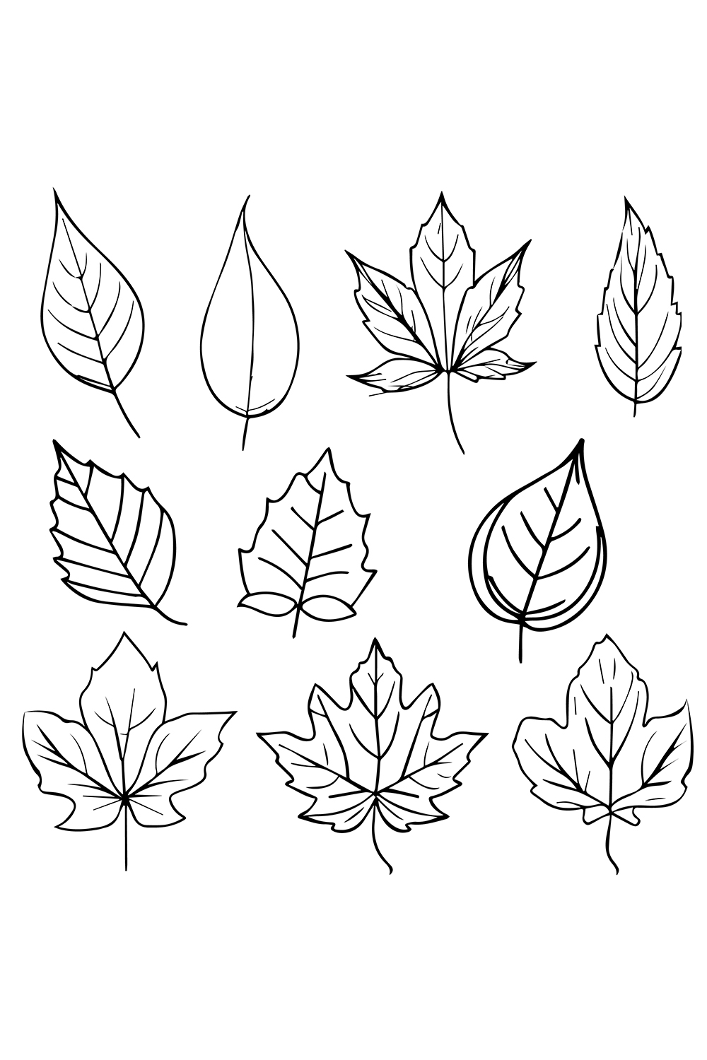Set of autumn leaf coloring sheets, autumn falling leaf line drawings, hand drawing leaves line art, pinterest preview image.