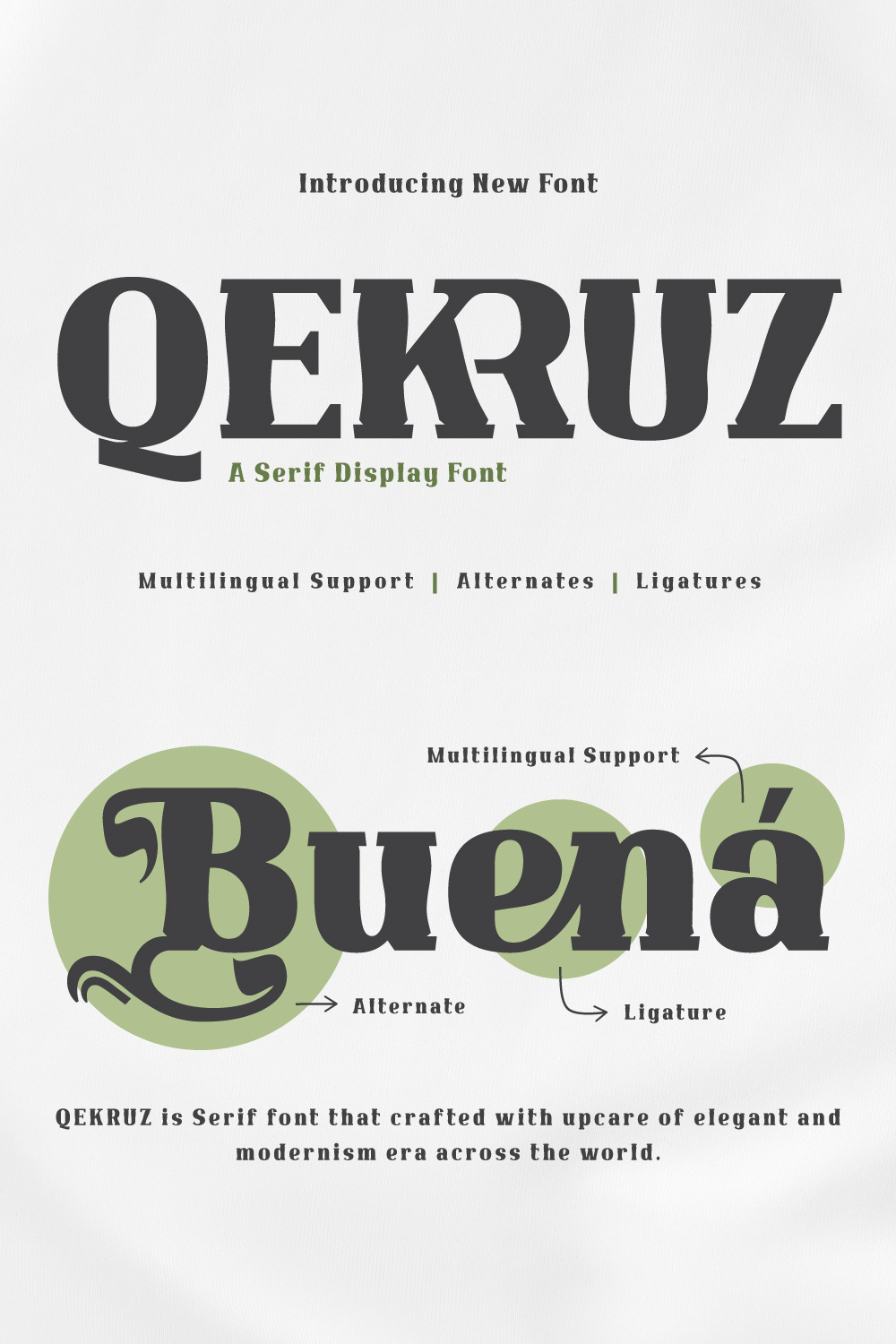 Qekruz | Serif Classic Modernism pinterest preview image.