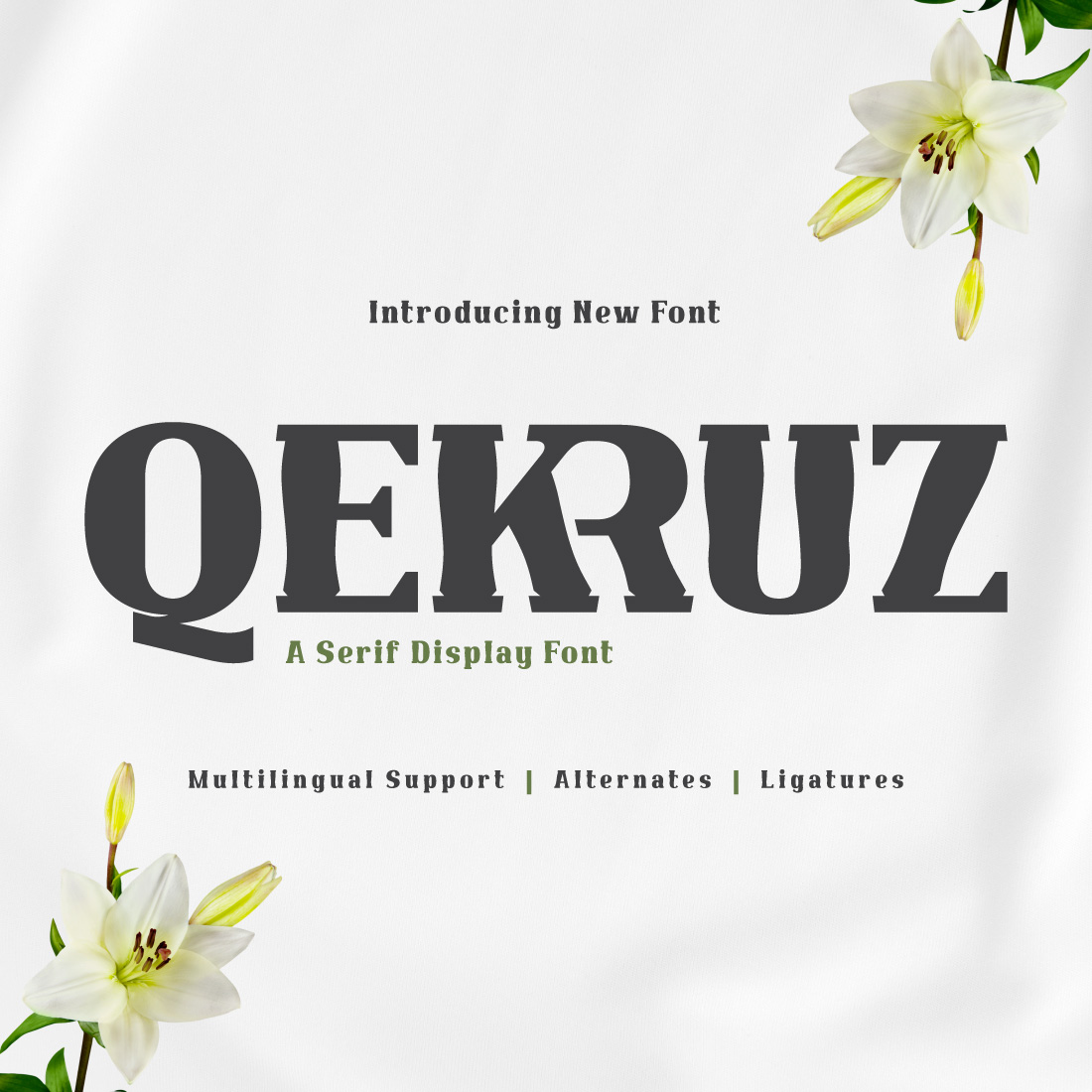 Qekruz | Serif Classic Modernism cover image.