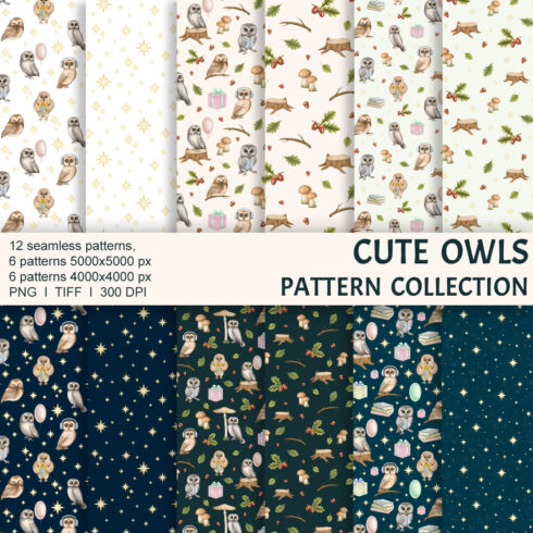 Cute owls pattern collection cover image.