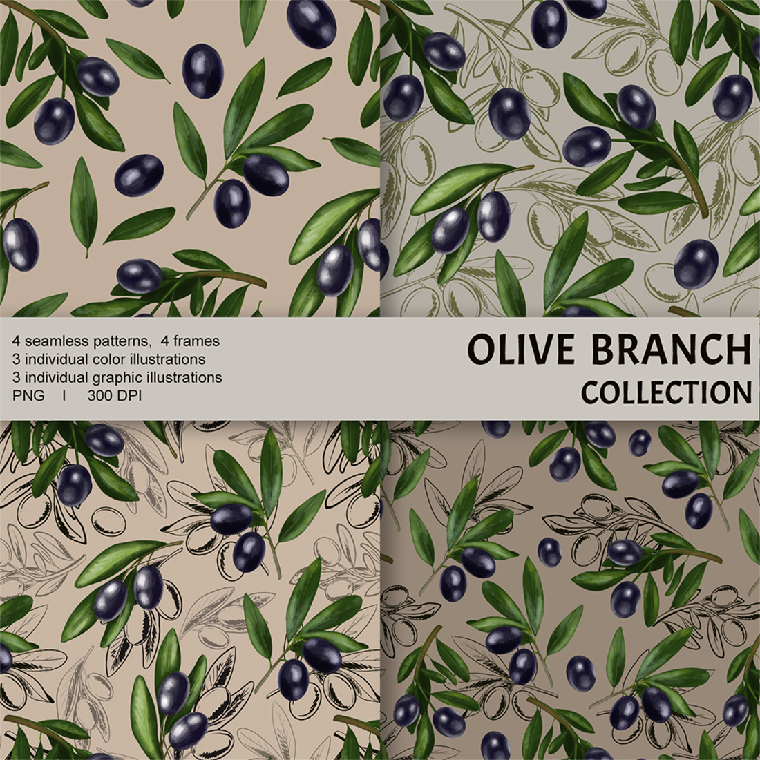 Olive branch collection cover image.