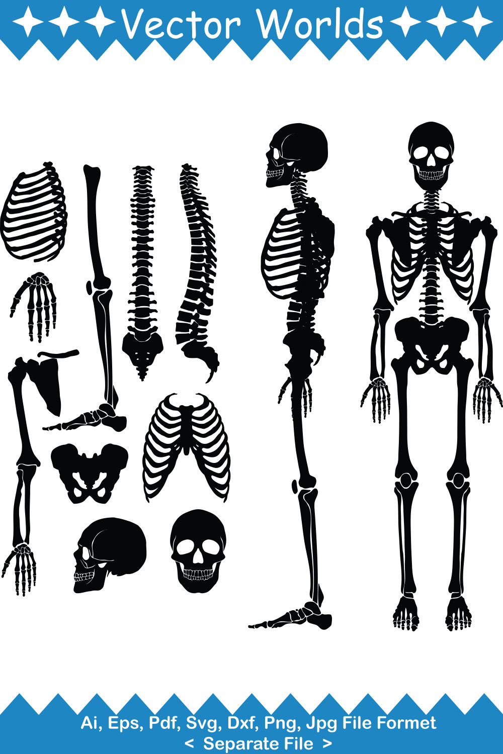 Human Bone SVG Vector Design pinterest preview image.