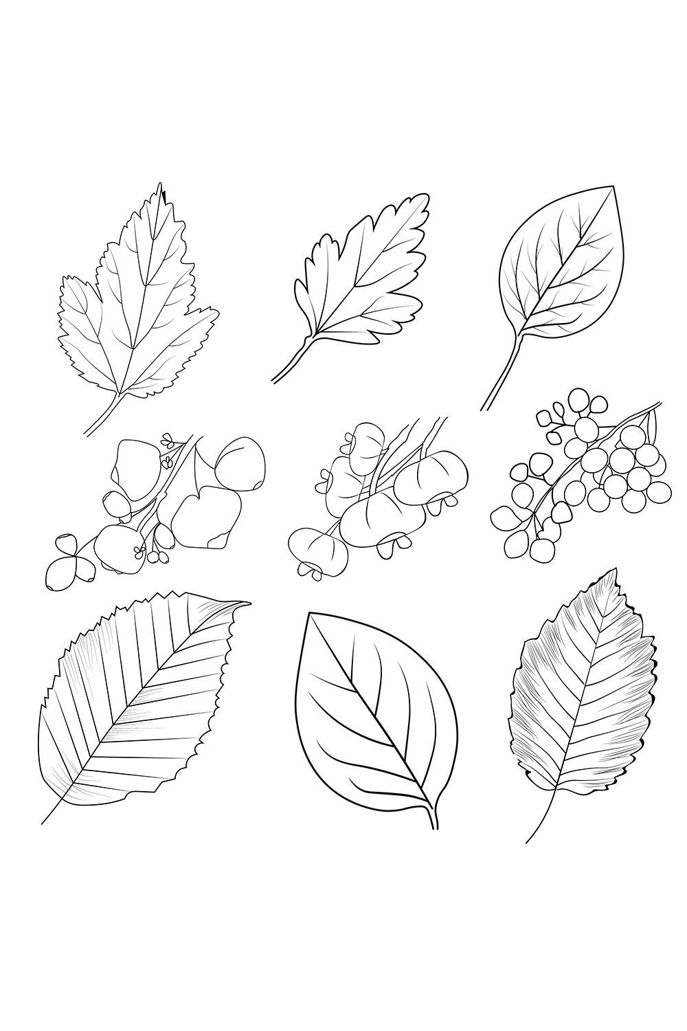 Set of Autumn falling leaves, Vegetables, Pumpkin, Wheat, Grains, leaf, Bell paper, Food Nature Thanksgiving coloring sheet, free printable coloring pages pinterest preview image.