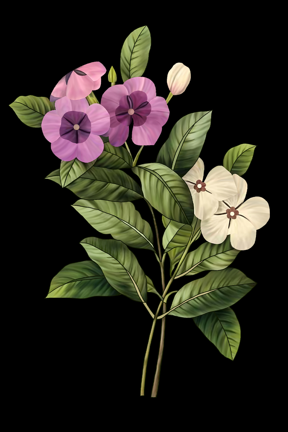 The high-quality digital floral design, Flowers transparent background high-resolution 300 DPI pinterest preview image.
