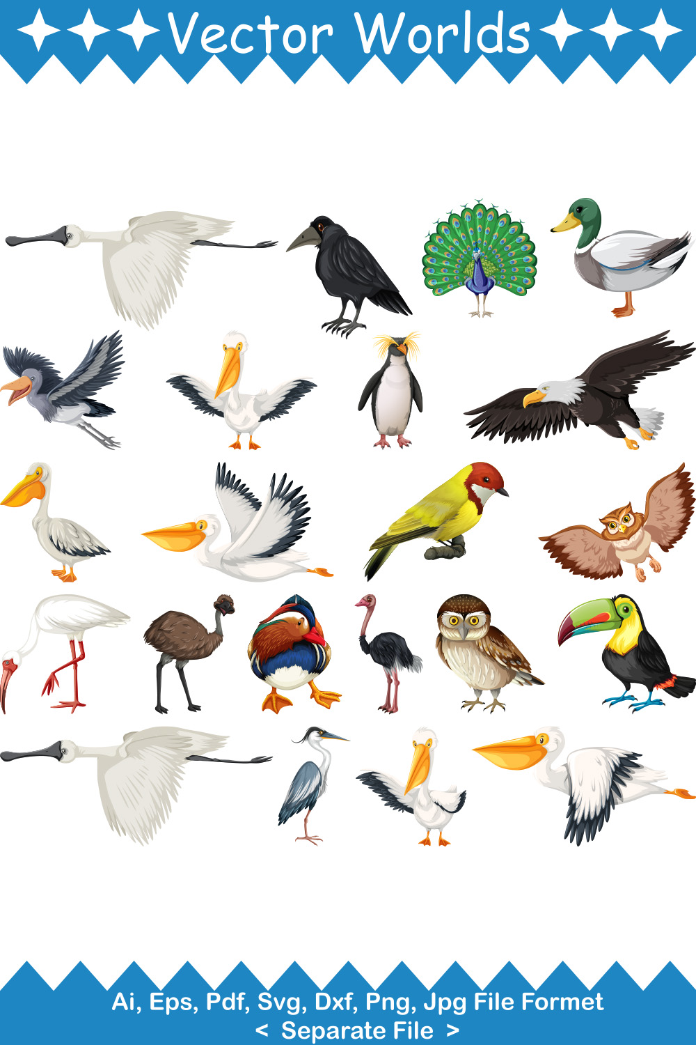 Kinds Birds SVG Vector Design pinterest preview image.