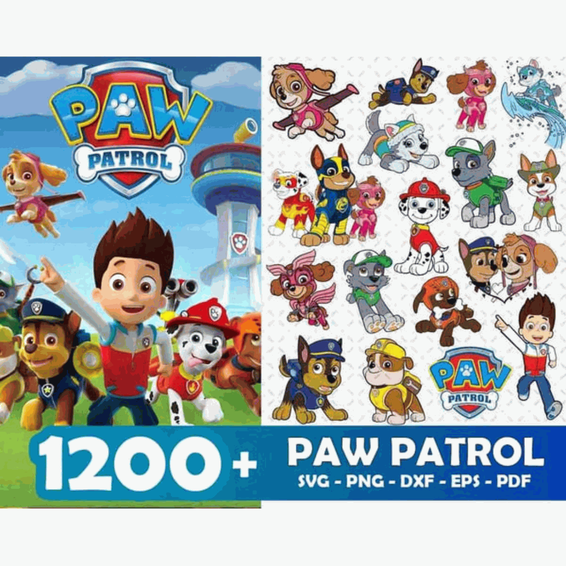 Paw Patrol Skye Background Round Cover Girl 1st Birthday Party